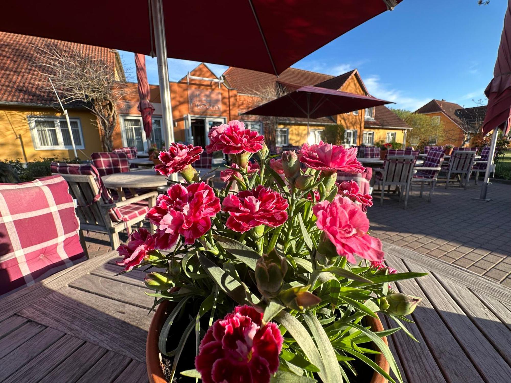 Hotel & Restaurant Zum Kap Arkona Putgarten Екстер'єр фото